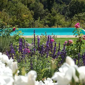 Podere Il Colto Bed & Breakfast
